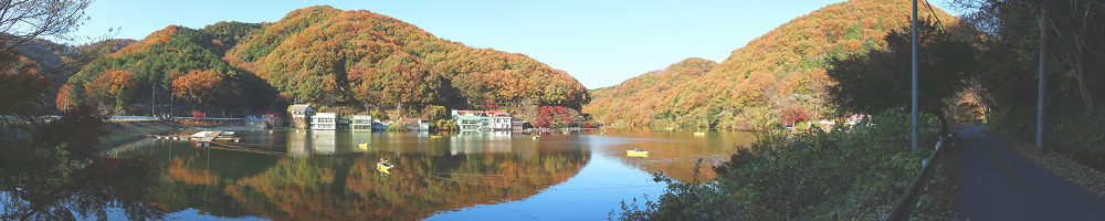 埼玉県