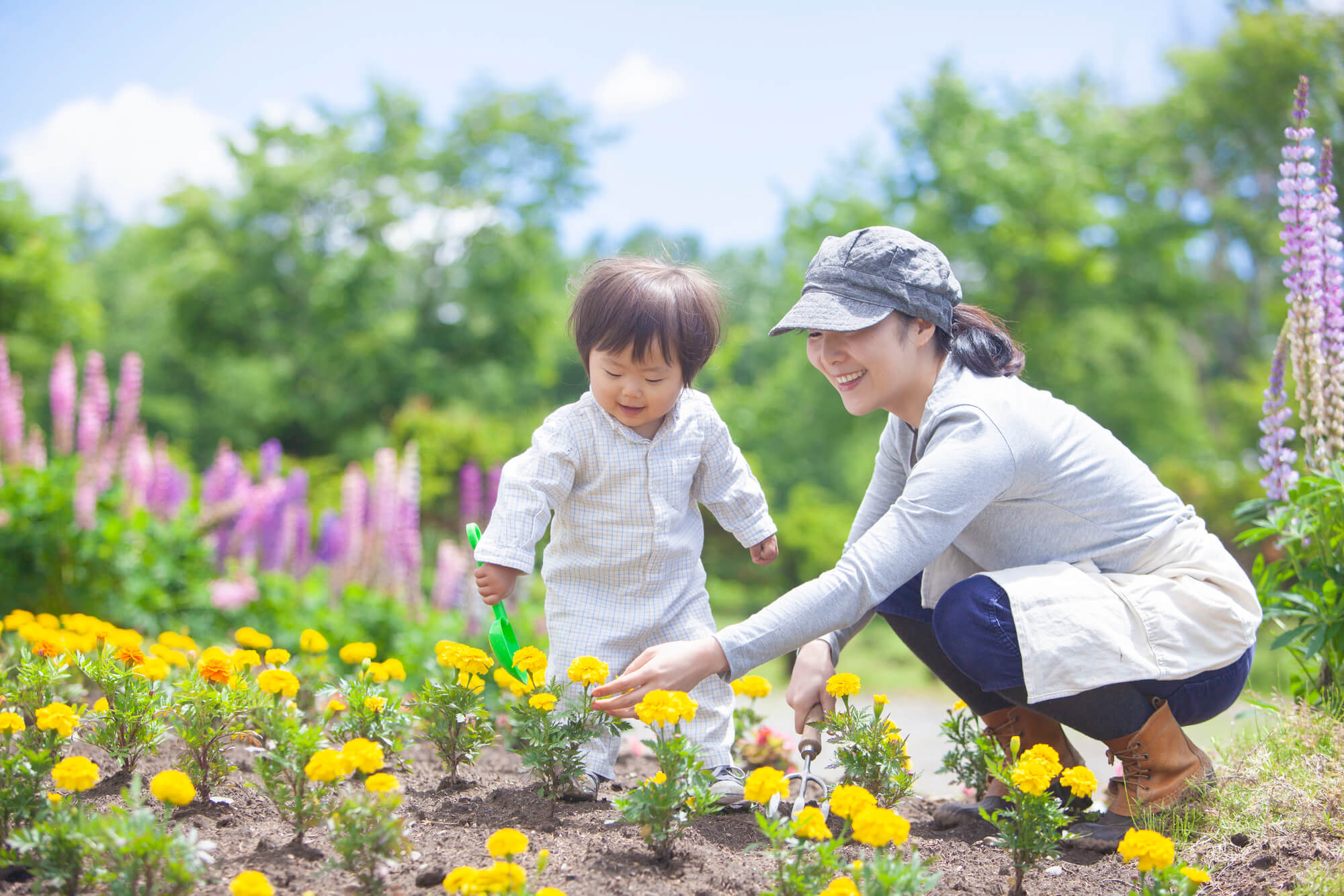 おしゃれな庭を維持するために知っておきたい雑草対策の基礎知識