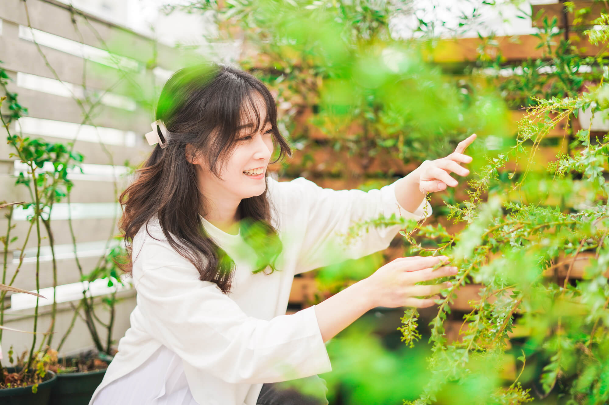 屋上庭園を作る前に知っておきたい注意点