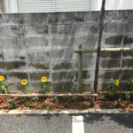 株式会社Y’s Gardenの写真