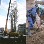 株式会社高橋植木の写真2